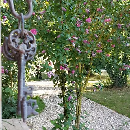 Les Cles D'auriane - 
